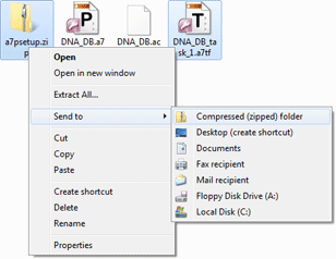 Archive with Access 2007 Password and Task files