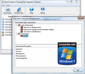 Internet Explorer Password Window