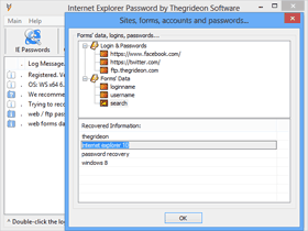 Internet Explorer Password Recovery Dialog